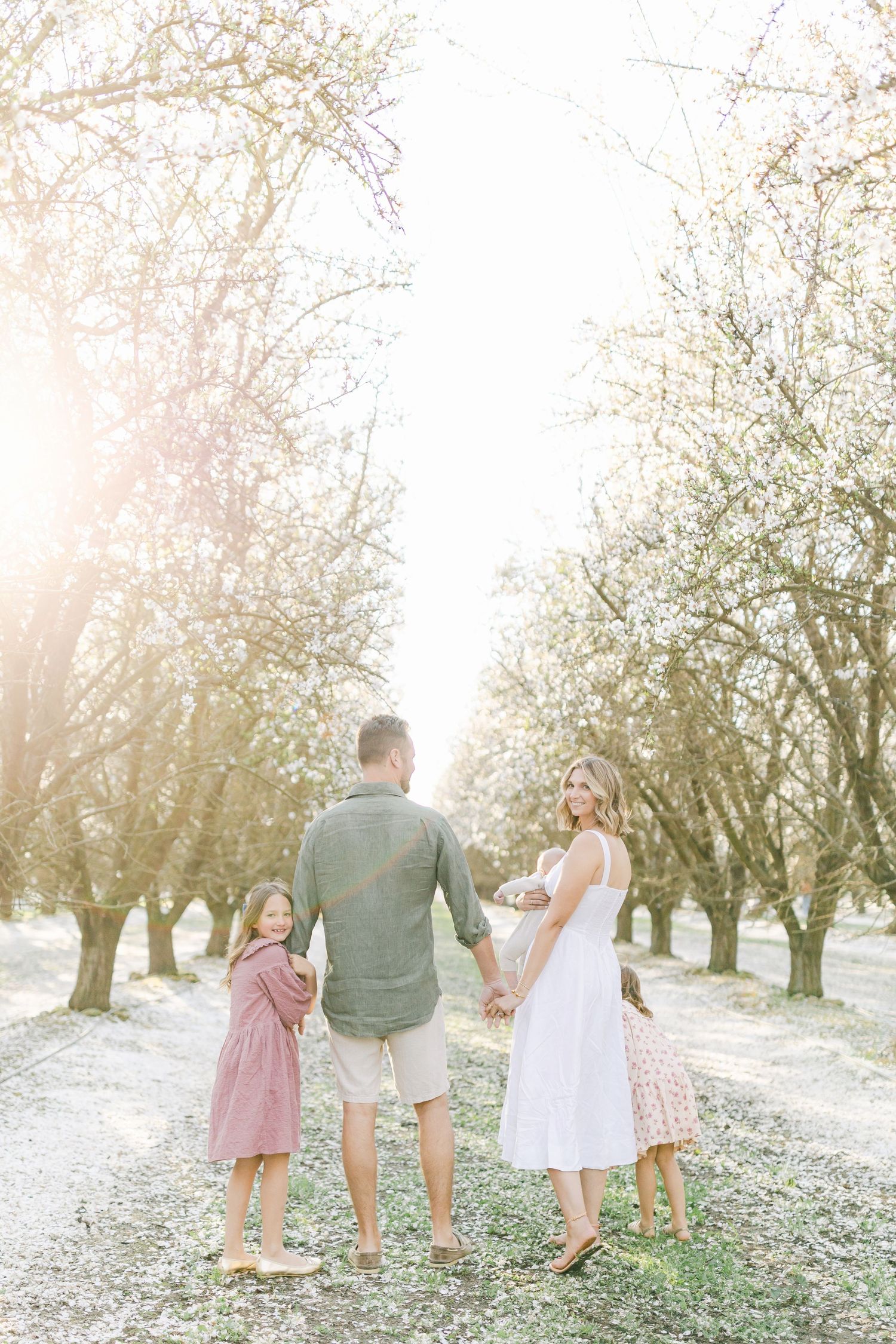 A family of four holds hands in a sunlit orchard with blooming trees, the mother wearing a white dress while pregnant.