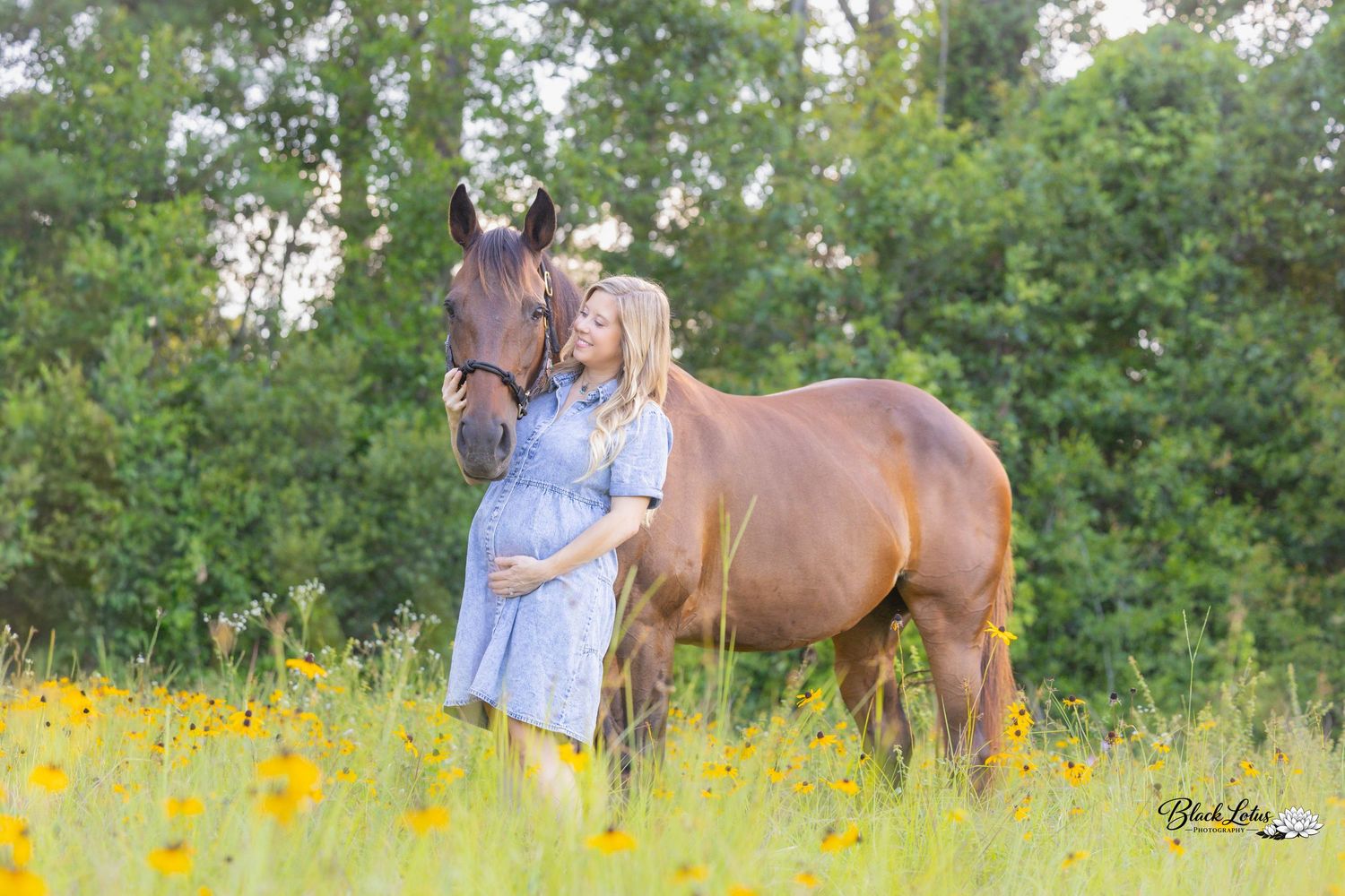 Pregnant woman in blue dress standing with a chestnut horse in a sunny field of yellow wildflowers.