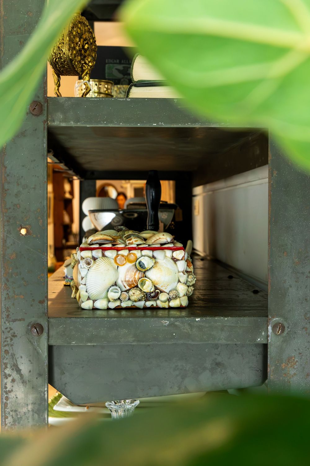 Decorative box covered in colorful seashells displayed inside a metal frame, surrounded by lush green tropical leaves. Swell House La Grange