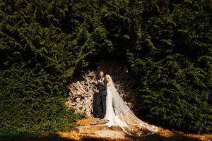 Bride and groom embracing in front of lush evergreen trees with a flowing veil on their wedding day.