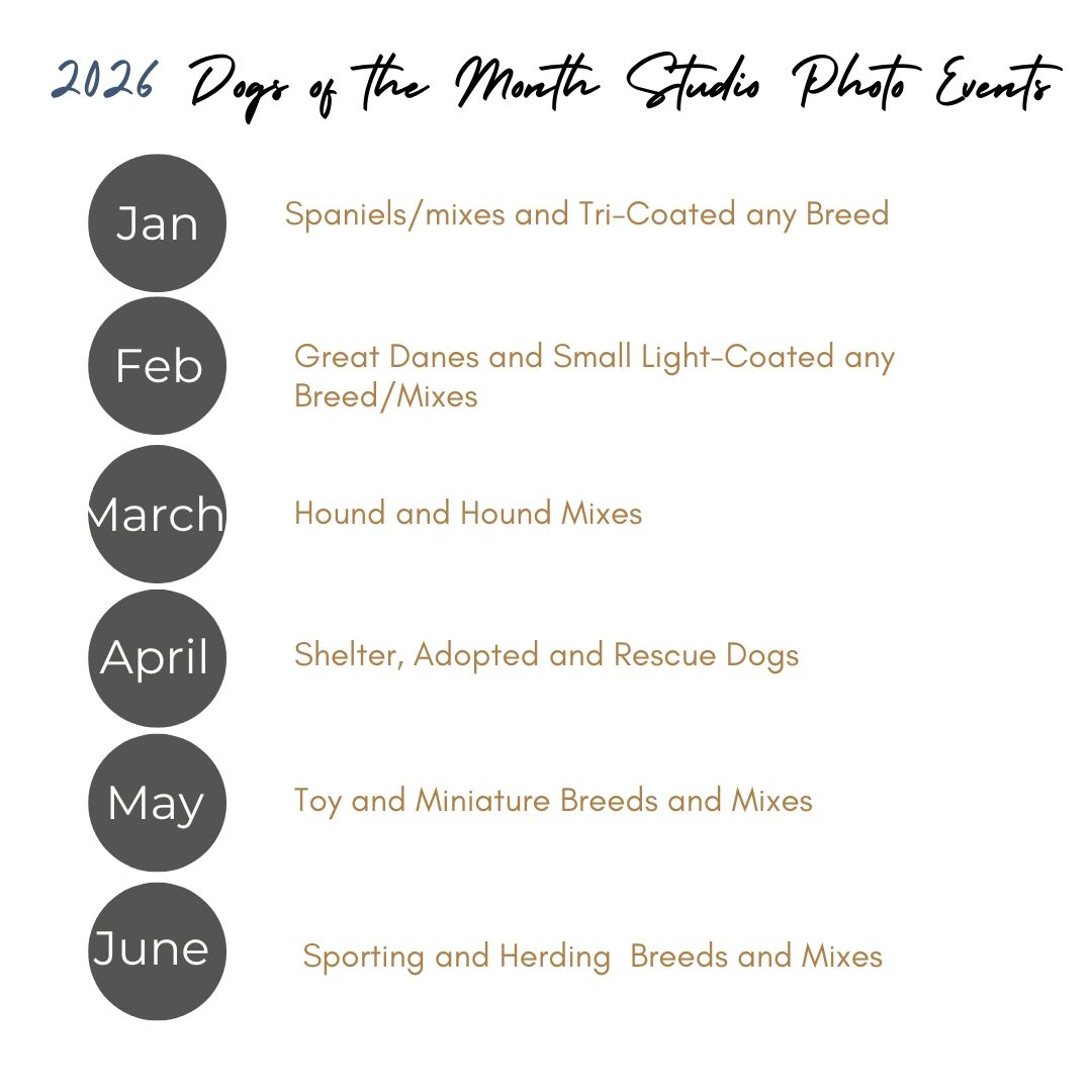2026 Dogs of the Month Photo Events calendar listing themed breeds from January through June.