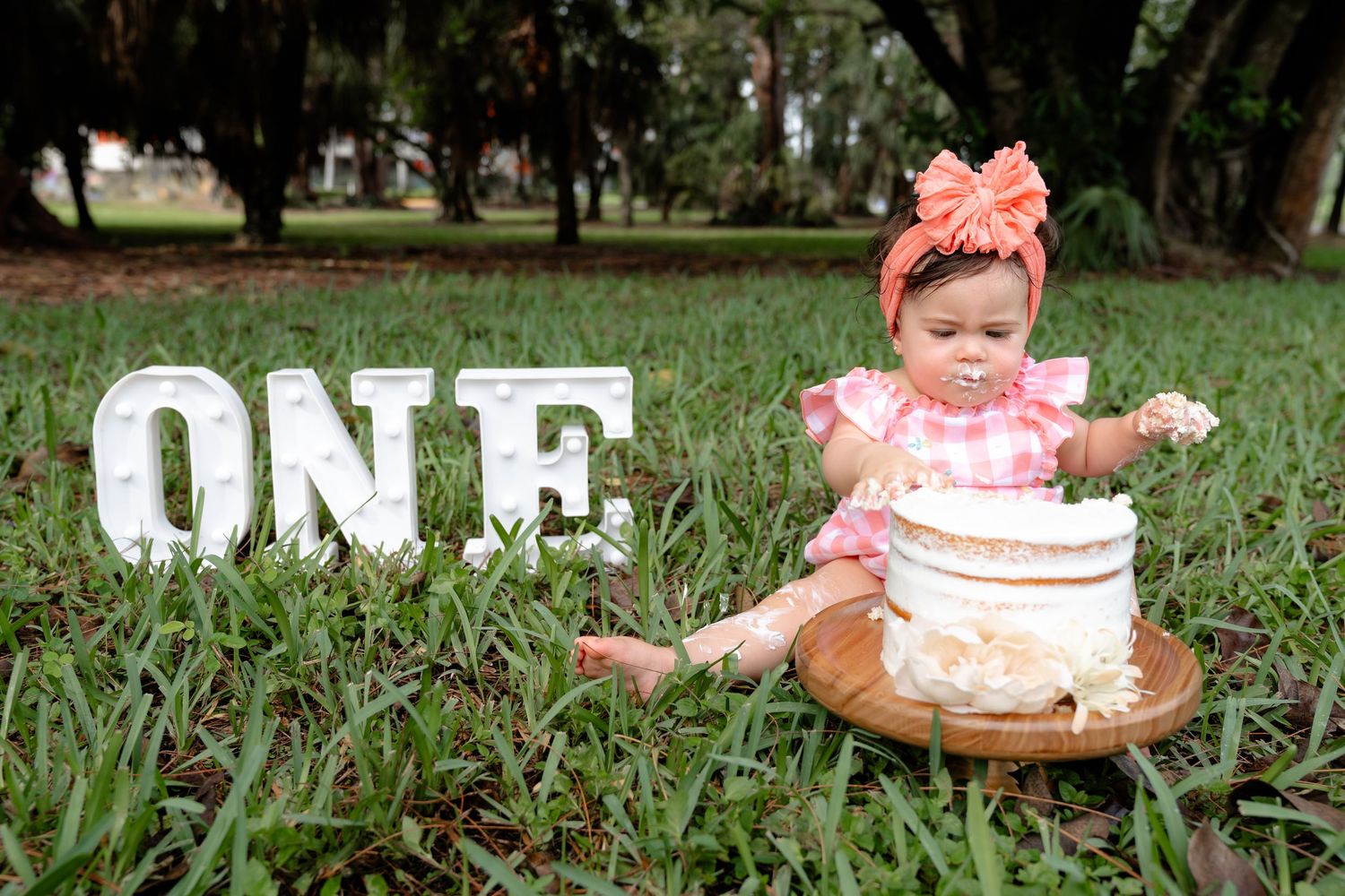 Baby girl in pink smash cake first birthday photoshoot outdoors with ONE sign and cake on grass.