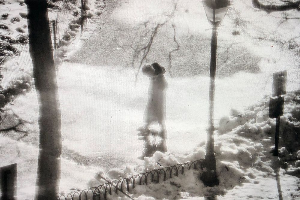Person standing in snowy park during winter storm, black and white aerial photo with bare trees and iron fence.