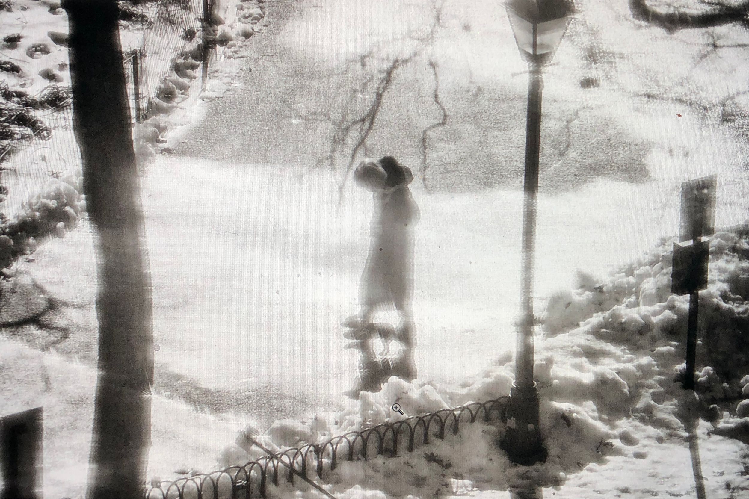 Person standing in snowy park during winter storm, black and white aerial photo with bare trees and iron fence.