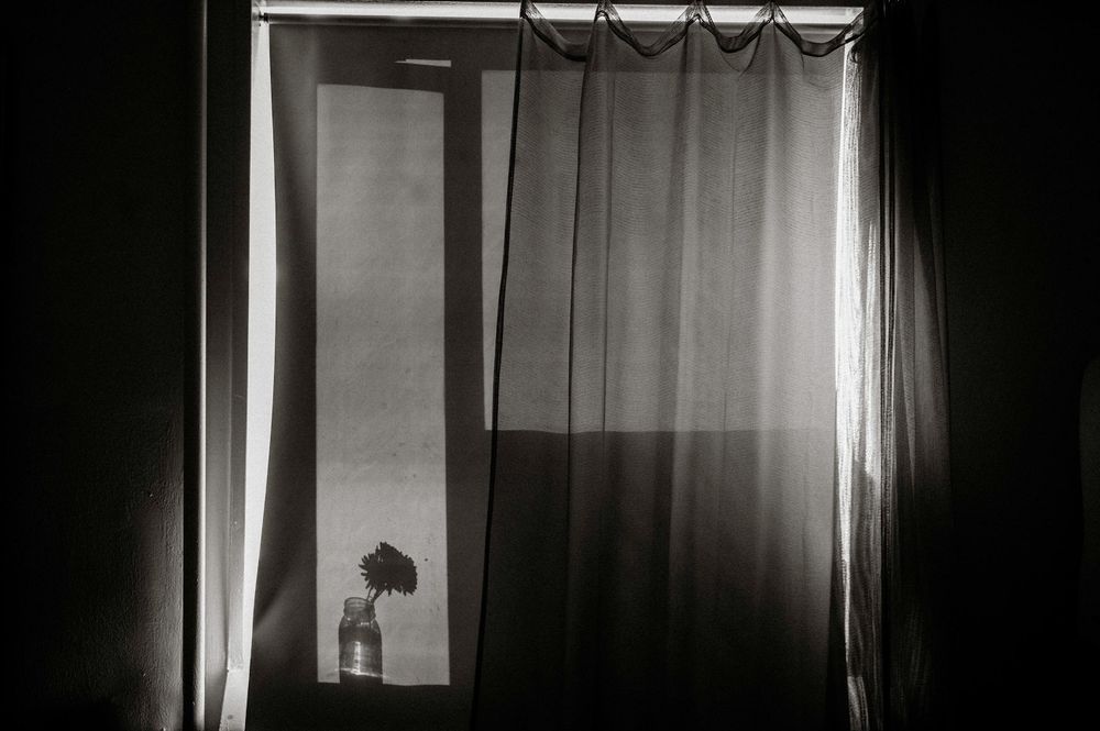 Black and white photo of sheer curtains by a window with a flower vase silhouetted against soft light.
