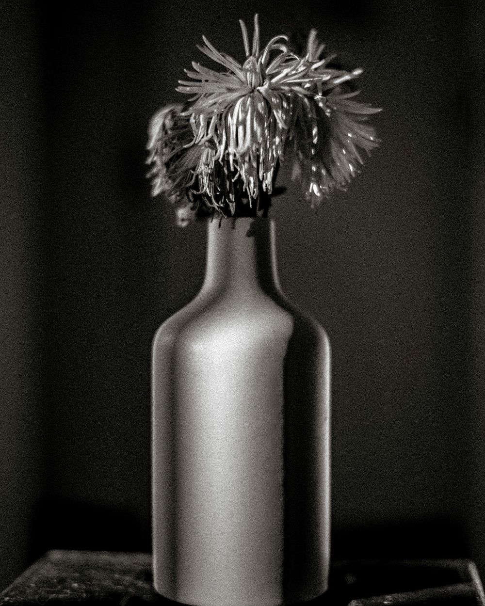 Black and white photo of a wilting flower in a matte gray bottle vase on a dark background.