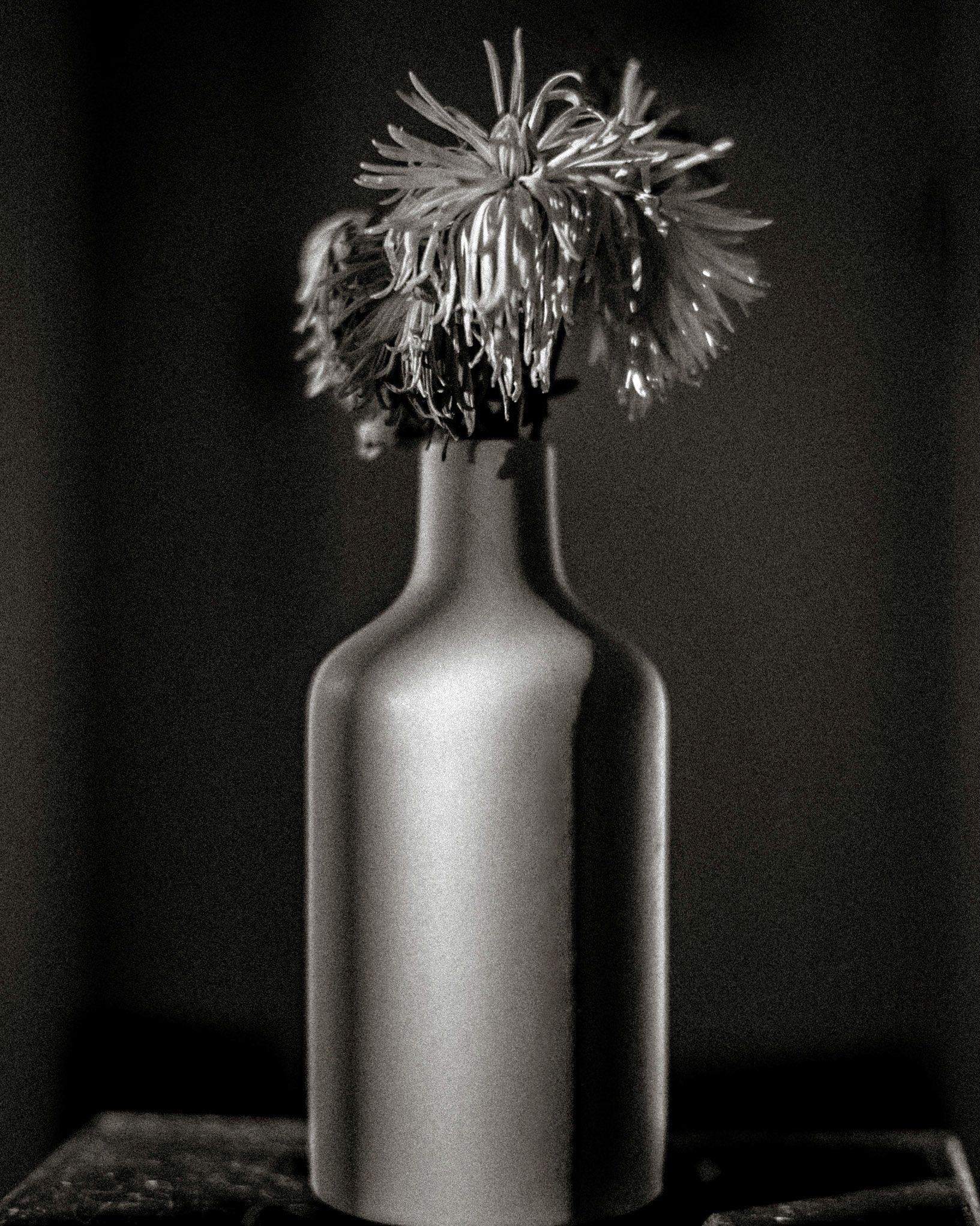 Black and white photo of a wilting flower in a matte gray bottle vase on a dark background.