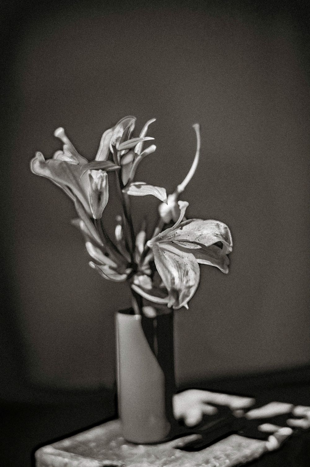 Black and white photo of wilting flowers in a small vase on a table with paintbrushes nearby.