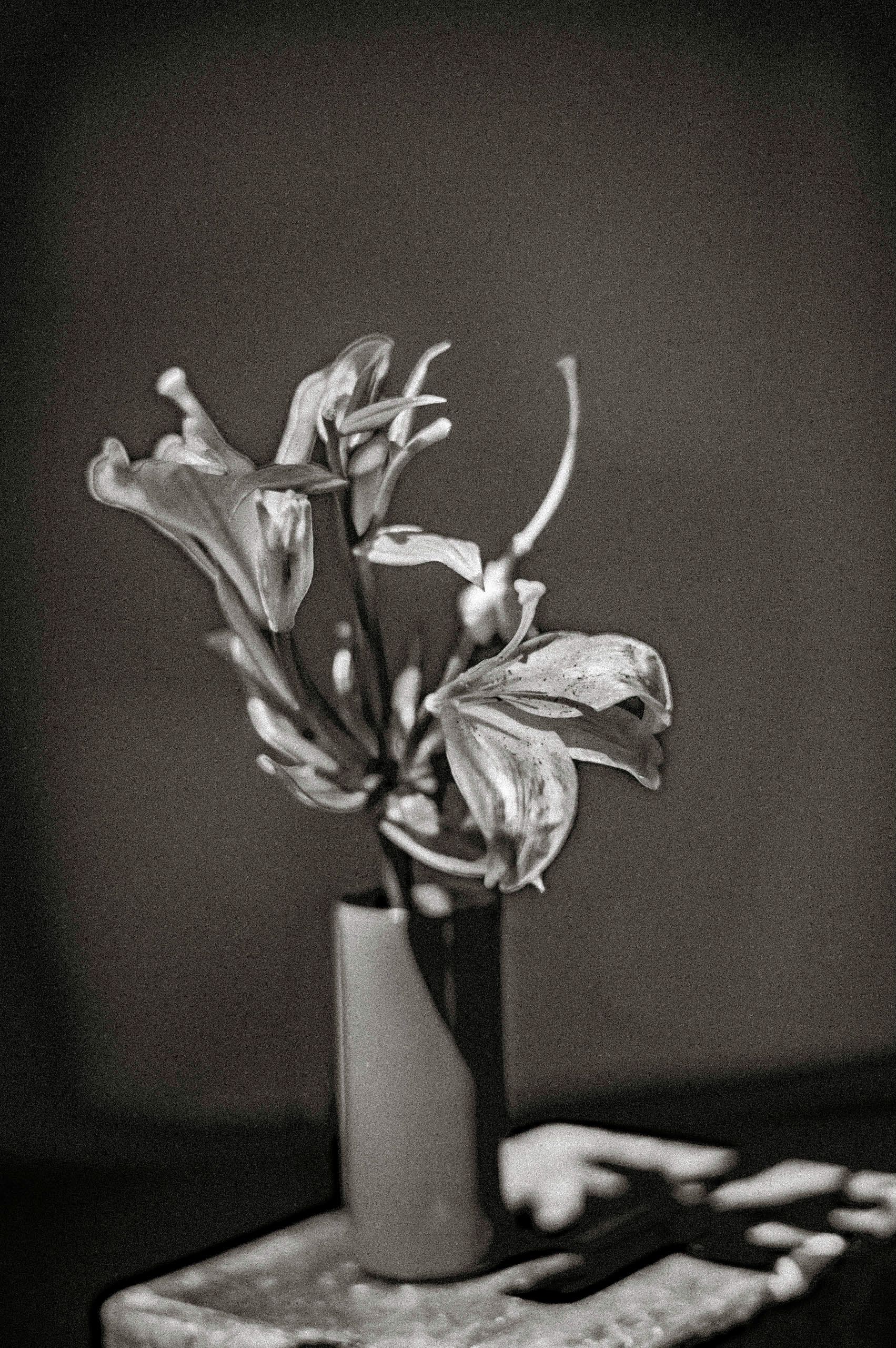 Black and white photo of wilting flowers in a small vase on a table with paintbrushes nearby.