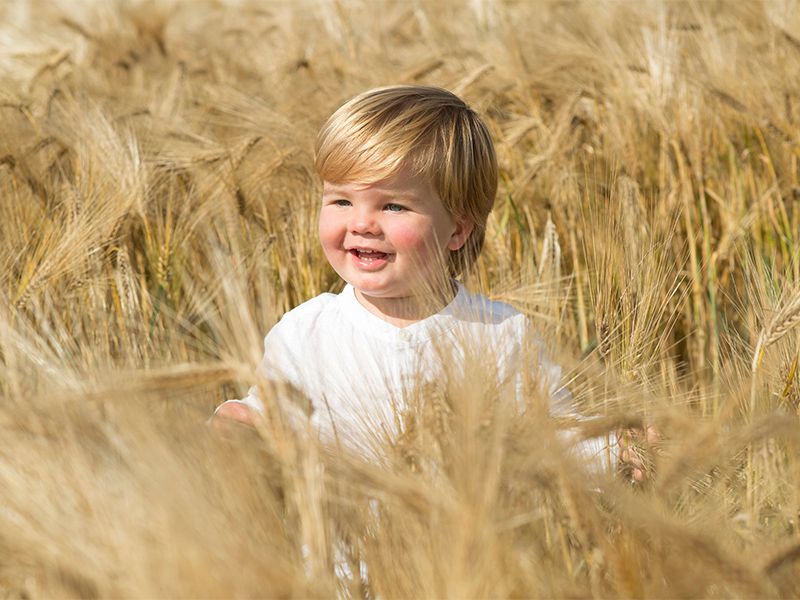 Smiling toddler in a field of golden wheat, wearing a white shirt.