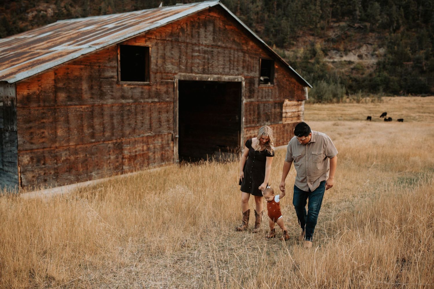 Parents walking hand in hand with their baby during a fall family photo session in the South Okanagan.
