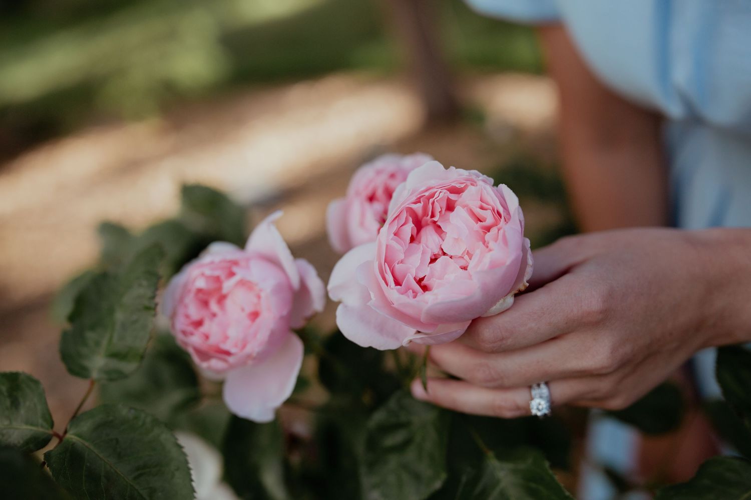Flower and hand picture South Okanagan generations photography session featuring multiple family members in a natural garden setting.