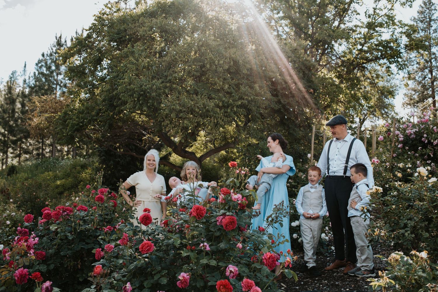 Multi-generational family portrait captured among blooming roses during an extended family photography session in Summerland, BC.