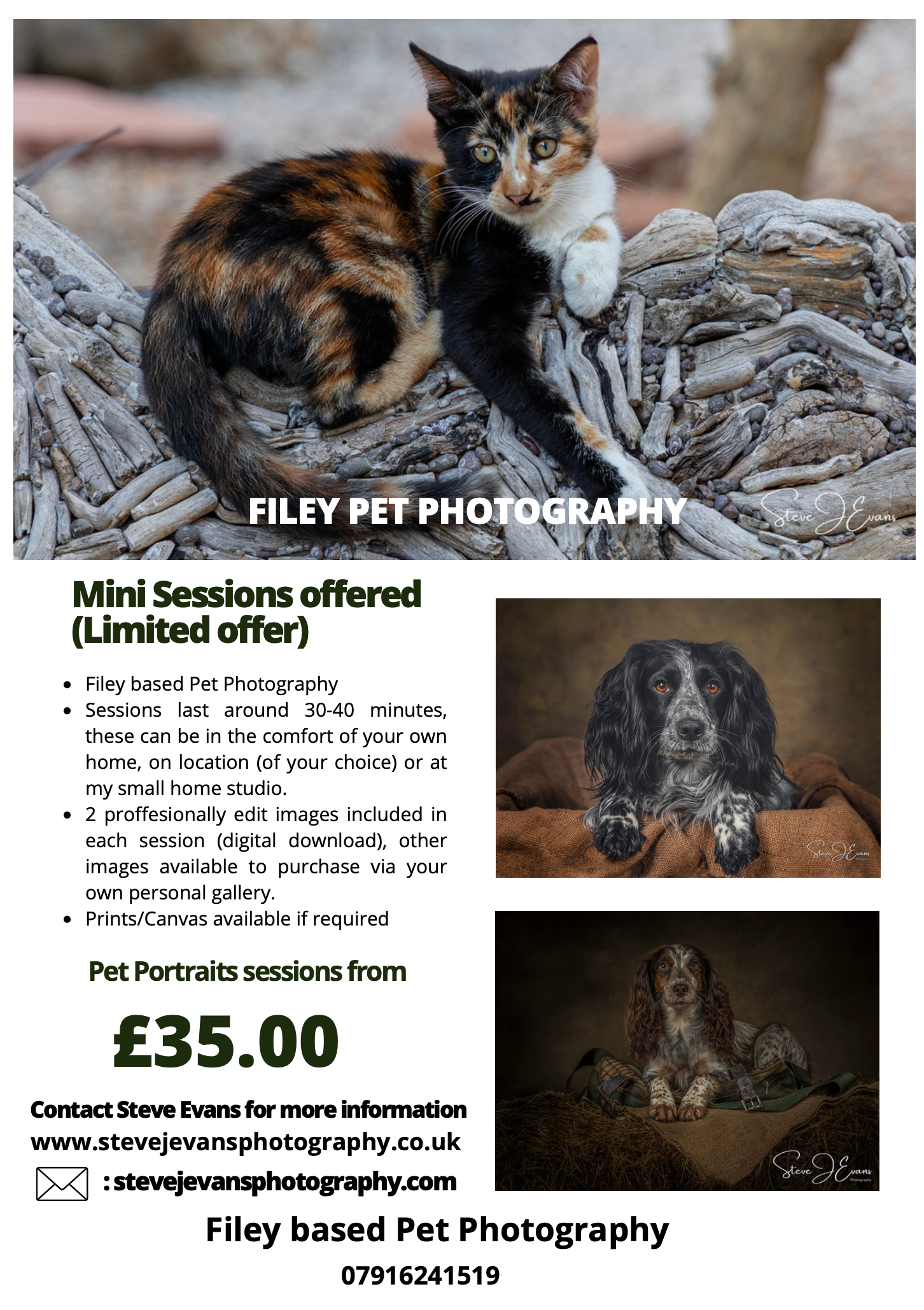 Steve J Evans is an award winning pet/dog photographer based in Filey North Yorkshire