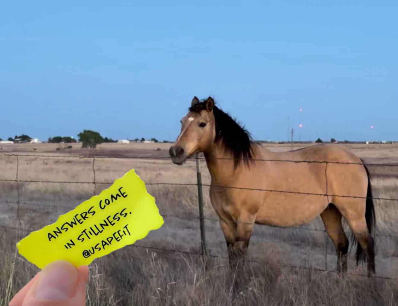 A buckskin horse stands behind a fence in a dry field, as a hand holds a yellow note reading answers come in stillness.