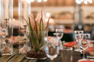 Elegant table setting with a potted aloe plant in a glass vase, crystal glassware and candle holders in a softly lit event venue.