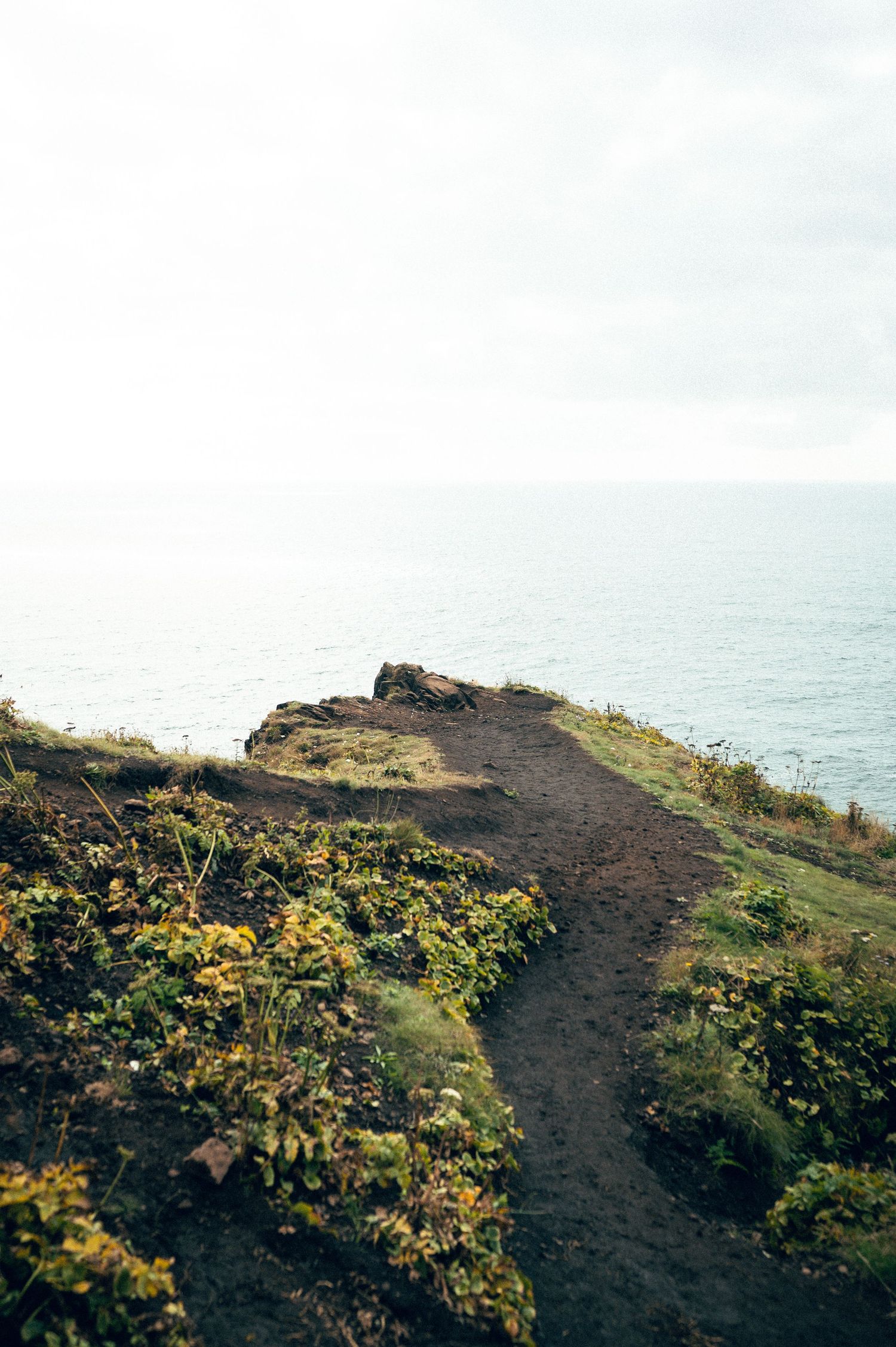 20 best things to do along the Oregon coast road trip. Elk Flats Trail Oregon. Destination and travel photography by Carl James