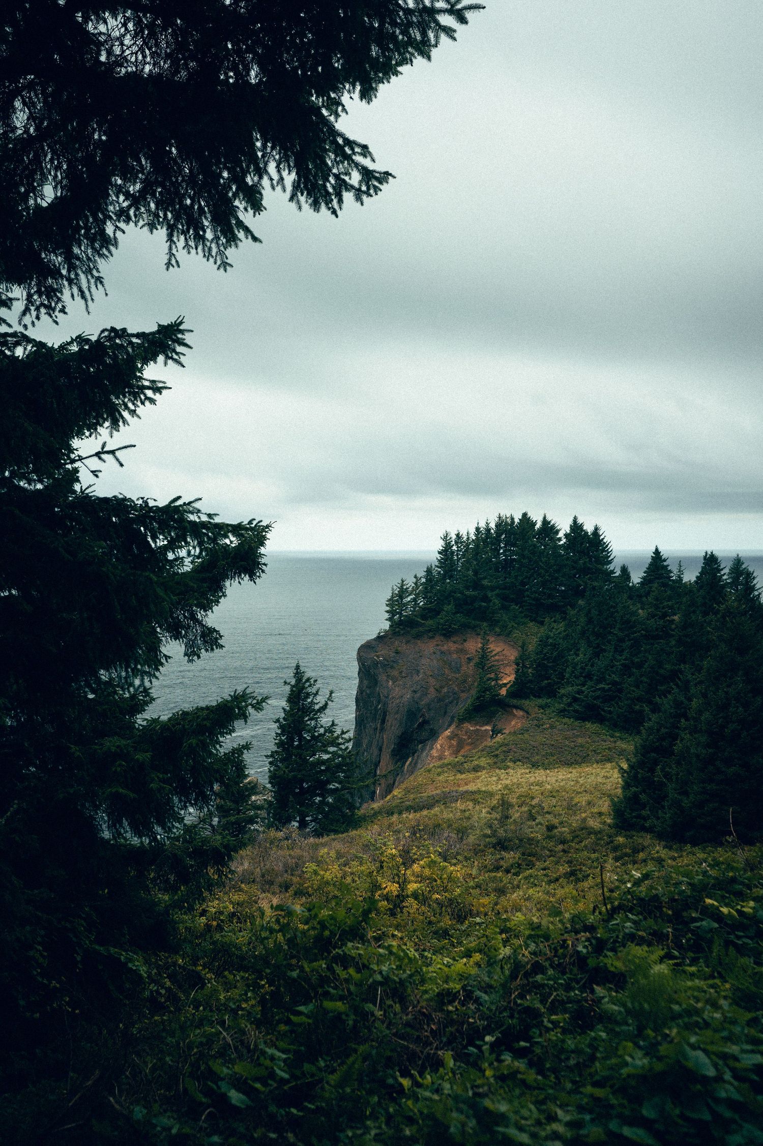 20 best things to do along the Oregon coast road trip. Elk Flats Trail Oregon. Destination and travel photography by Carl James