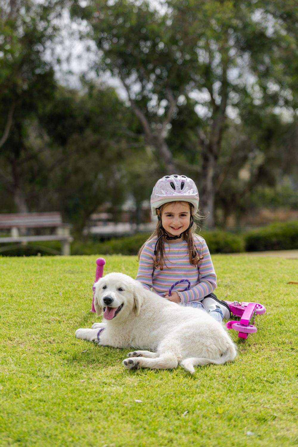 A smiling girl in a bike helmet sits on green grass with a white Golden Retriever puppy in a park.