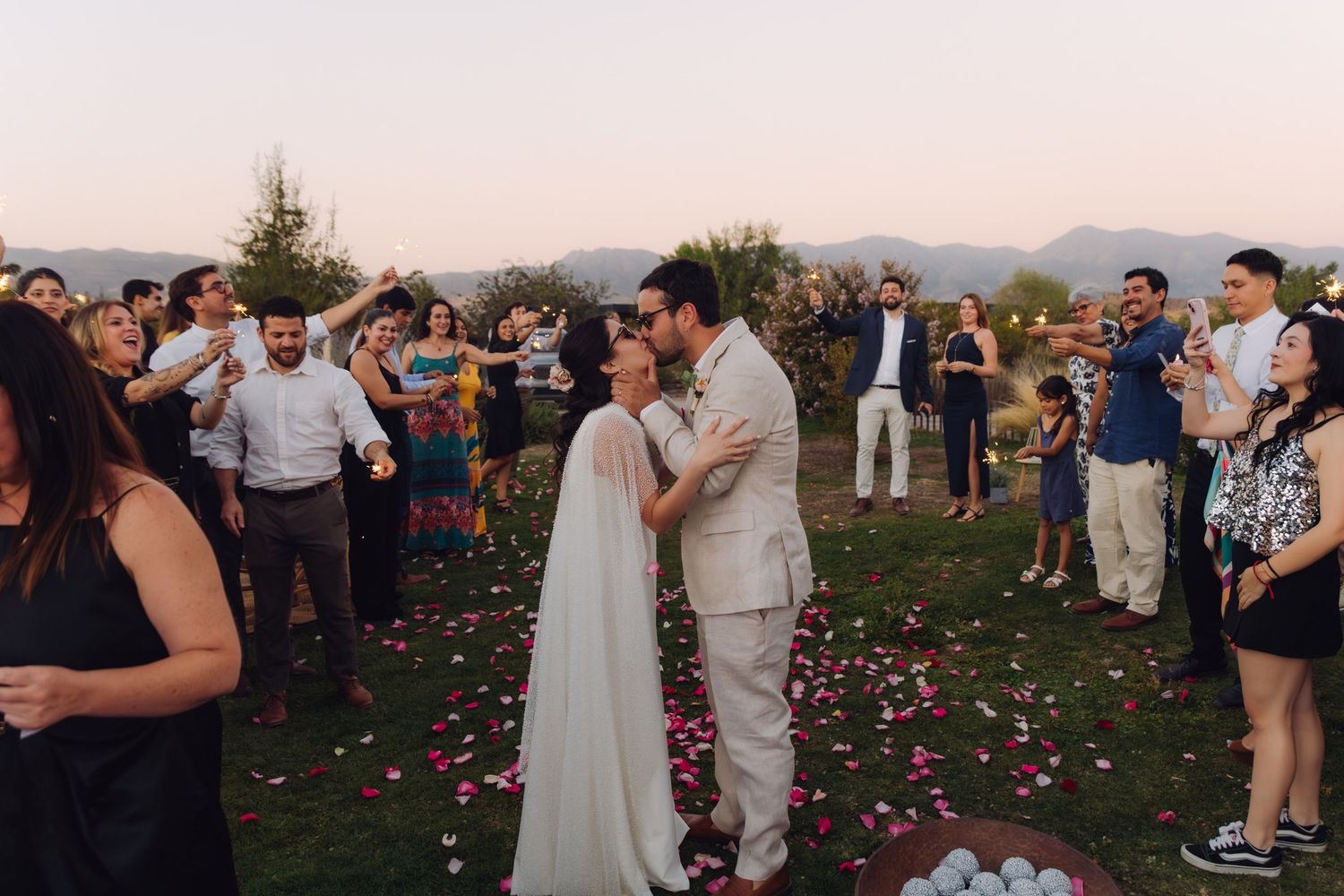 Bride and groom kiss passionately while wedding guests celebrate with rose petals on green lawn.