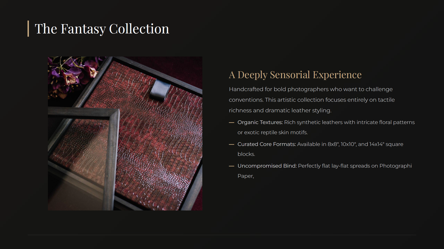 The Fantasy Collection slide featuring deeply sensorial premium leather textures and formats for bold photographers.