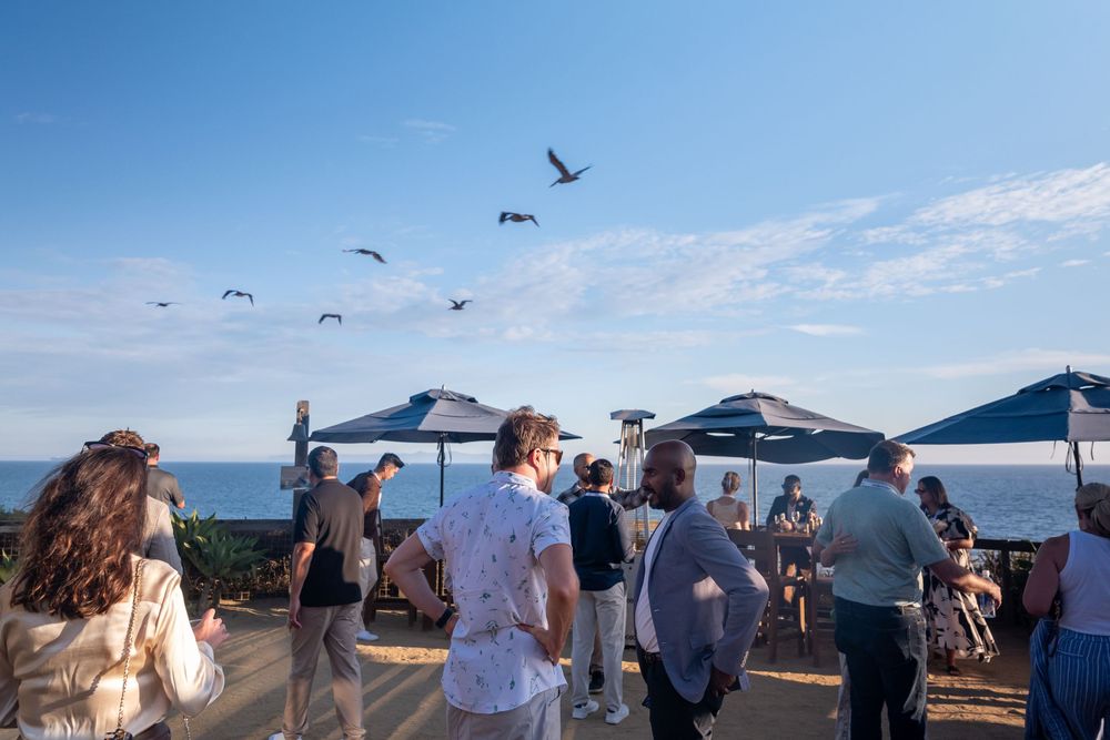 People gather on an ocean-view rooftop terrace under blue umbrellas with seagulls flying overhead on a sunny day.