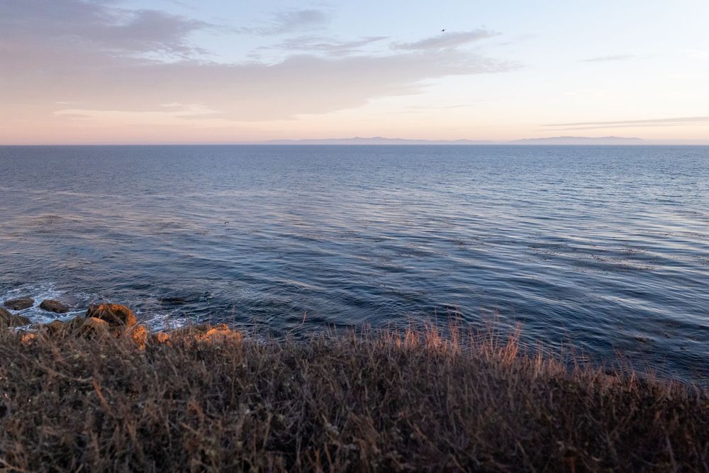 Serene coastal view at dusk with calm blue ocean waters, rocky shoreline, dry golden grass, and pastel pink sunset sky.