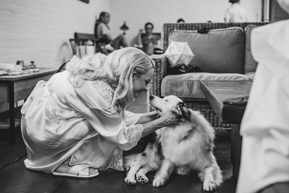 Black and white photo of a bride in a satin robe lovingly interacting with a fluffy dog at a wedding venue.