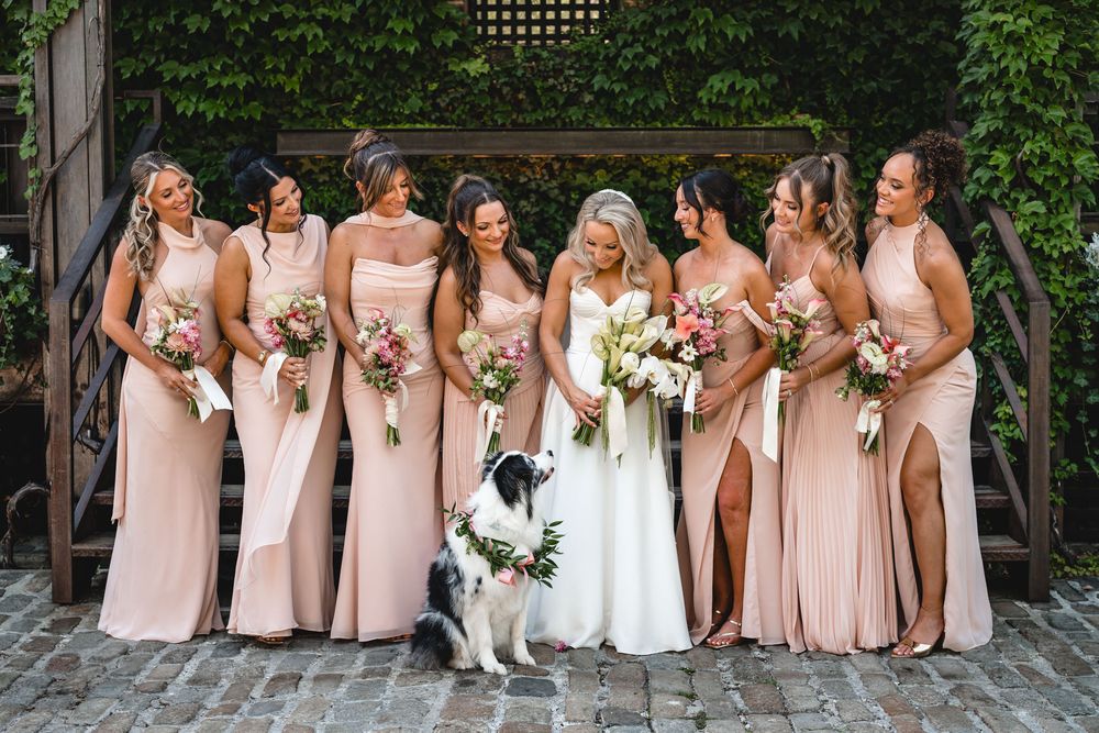 Bride with bridesmaids in blush gowns holding colorful bouquets, with a border collie dog on cobblestone steps.