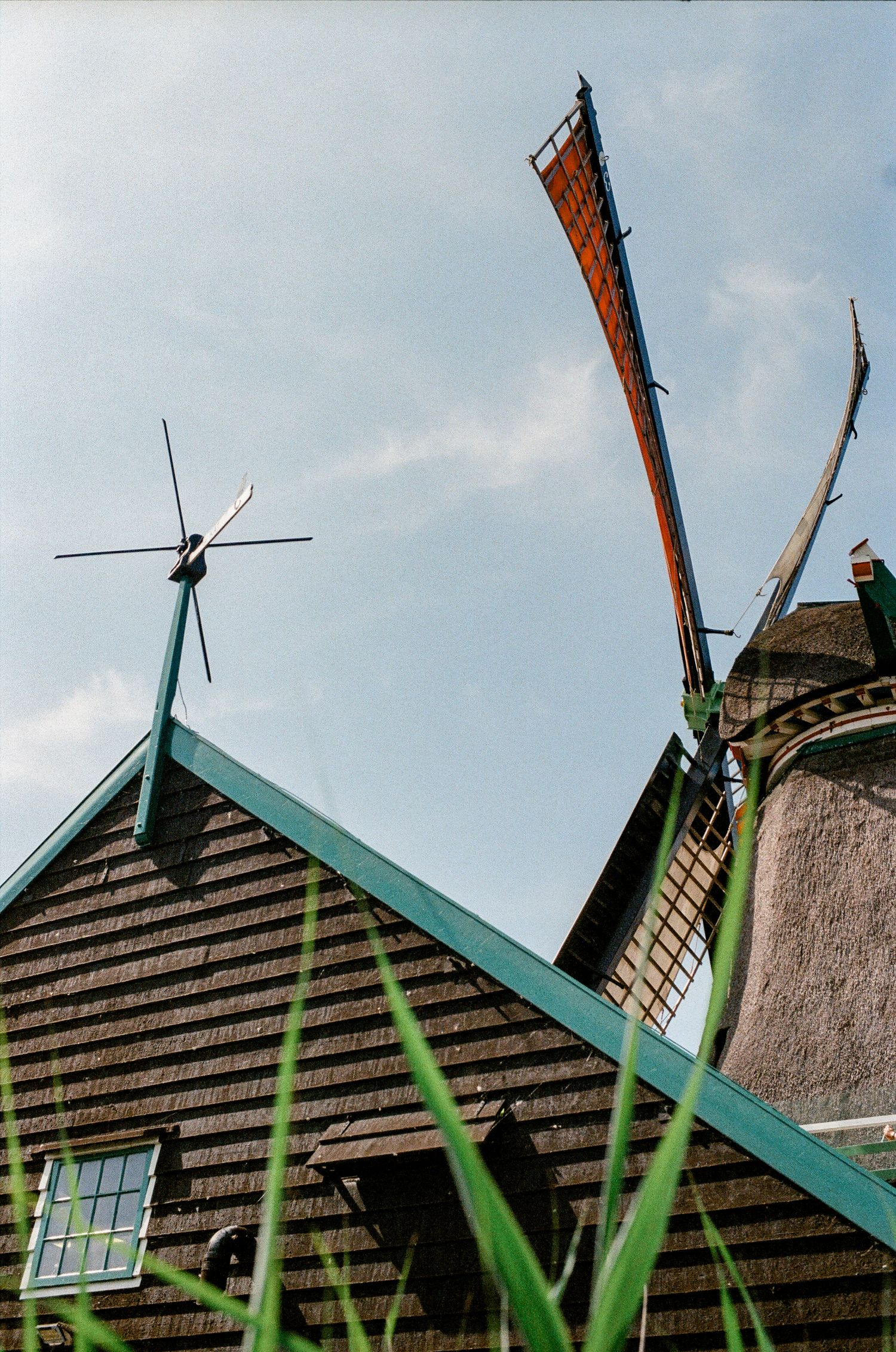 No parking sign on wooden fence with Dutch windmill in green field under blue sky.