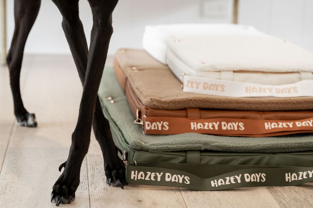 Black dog standing beside a stack of Hazey Days pet beds in green, brown, and cream colors on a wood floor.