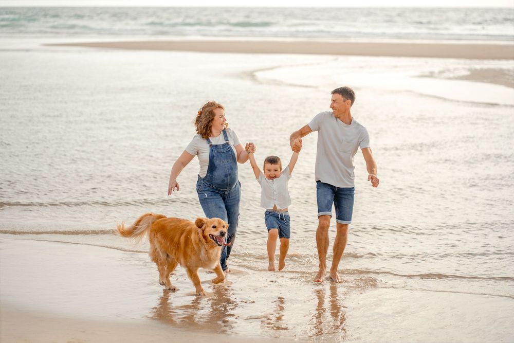 une famille en train de s'amuser avec leur fils et leur chien au bord de l'eau