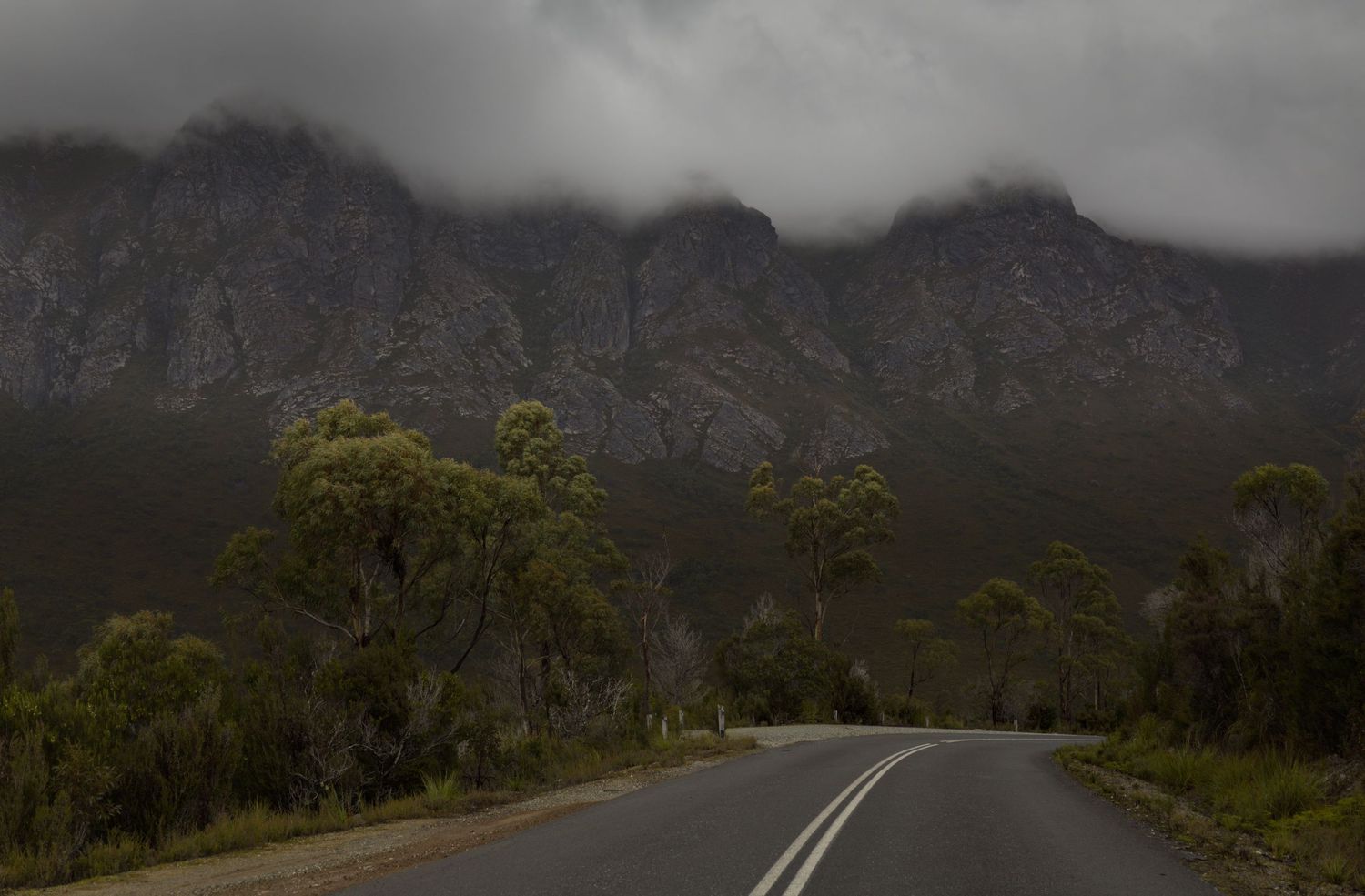 Empty asphalt road curves beside eucalyptus trees toward dark rugged mountains shrouded in low cloud under a moody overcast sky.