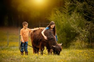 Two children petting a fluffy brown Highland cow in a sunny field of wildflowers at golden hour.