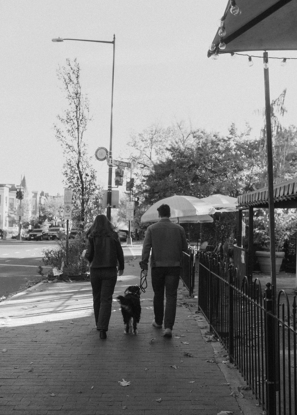 Two people walk a dog down a city sidewalk on an autumn day with trees and buildings in the background.