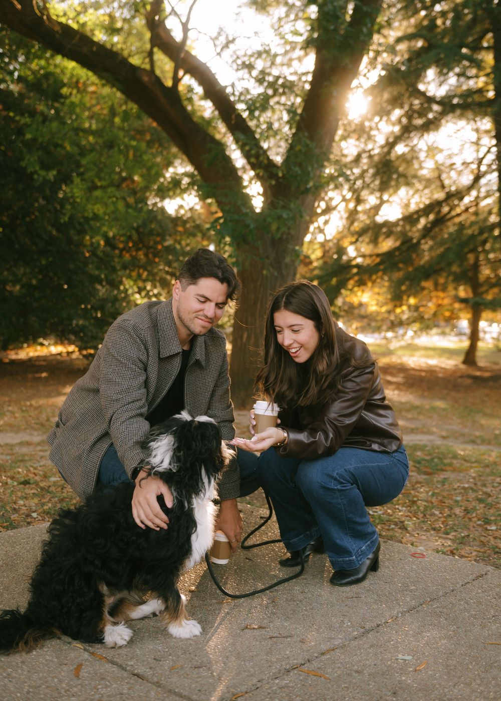 A couple plays with their border collie dog during golden hour in a park setting.