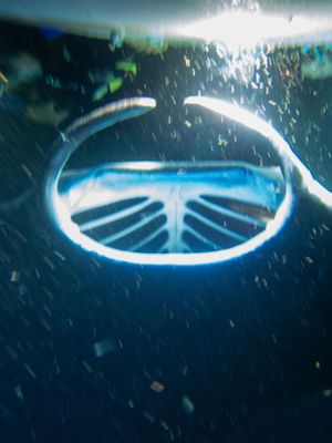 Illuminated circular patterns underwater creating ethereal light effects.