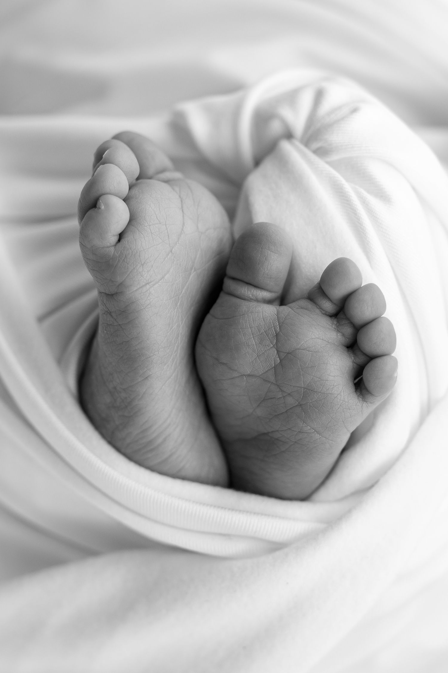 Picture of babies feet