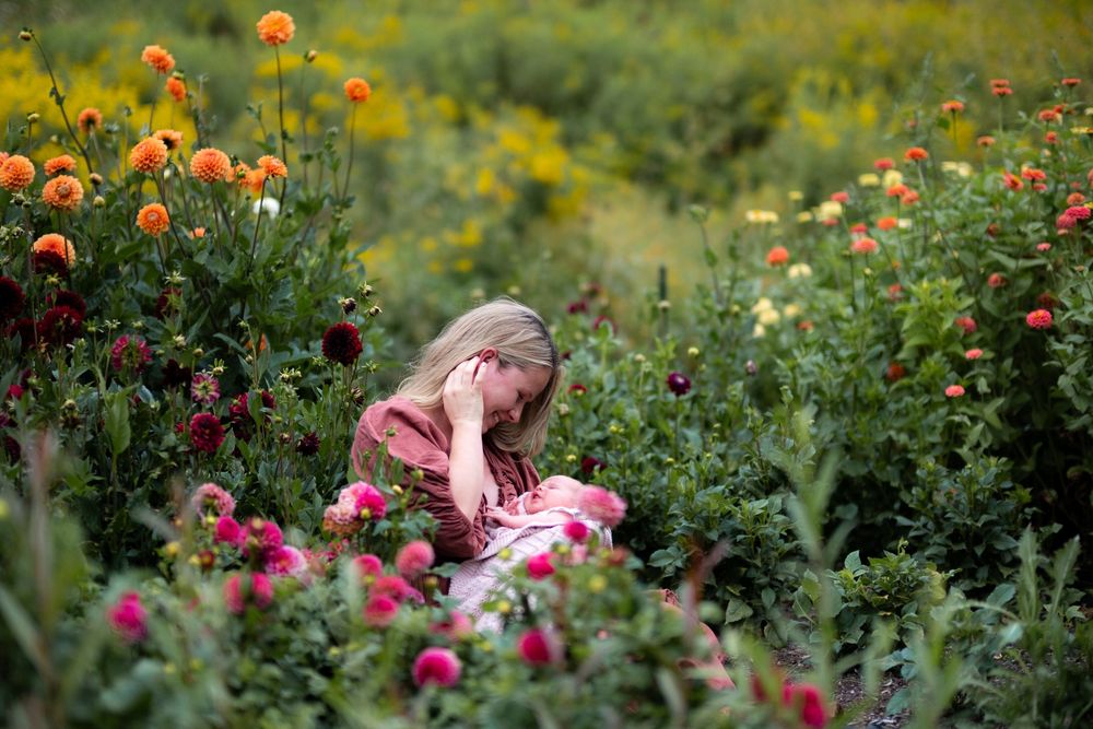A child sits among vibrant orange and pink flowers in a lush garden setting.