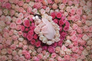 Pink roses arranged in a romantic floral backdrop pattern with varying shades and textures.