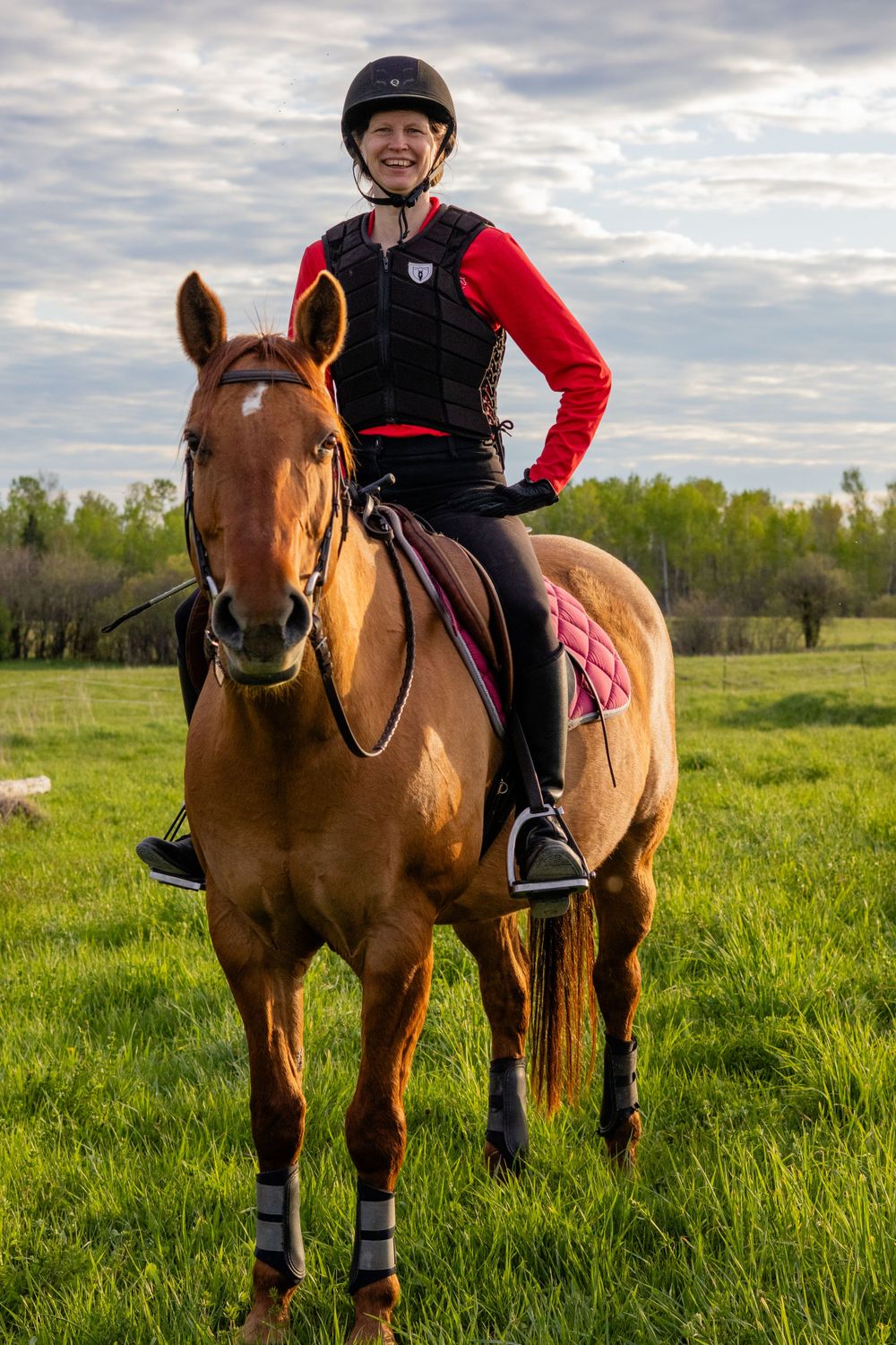 An equestrian in red and black riding gear sits atop a chestnut horse in a green pasture under cloudy skies.