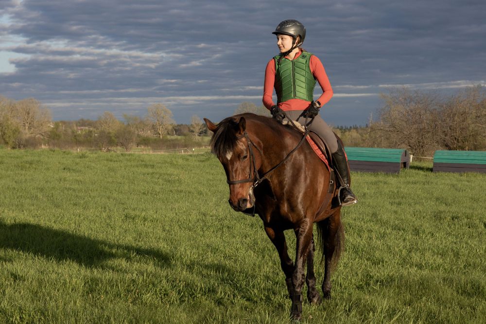 Equestrian riding a brown horse across a grassy field under cloudy skies.