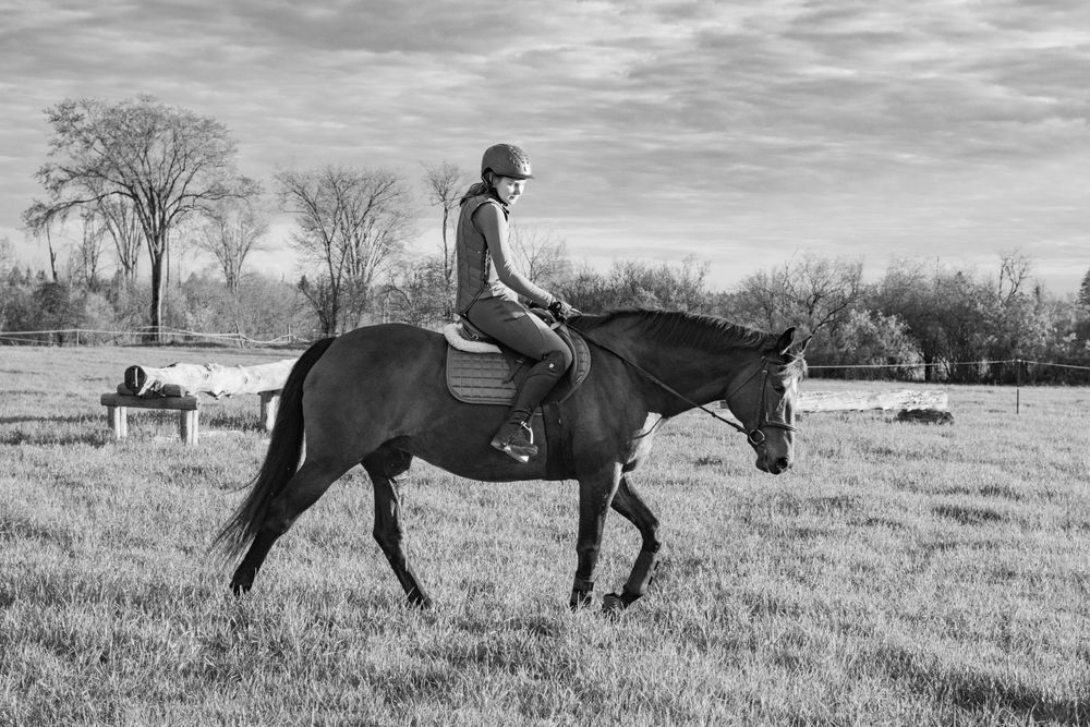 Black and white photograph of horse and rider traversing an open field.