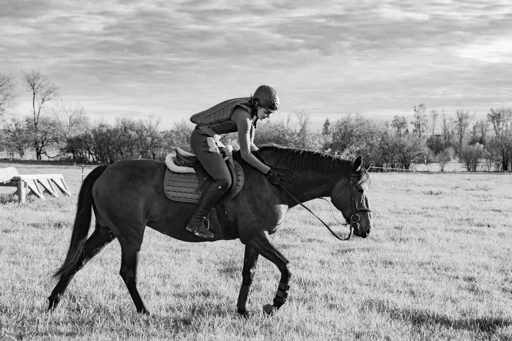Horse and rider moving across a pastoral landscape in black and white photography.