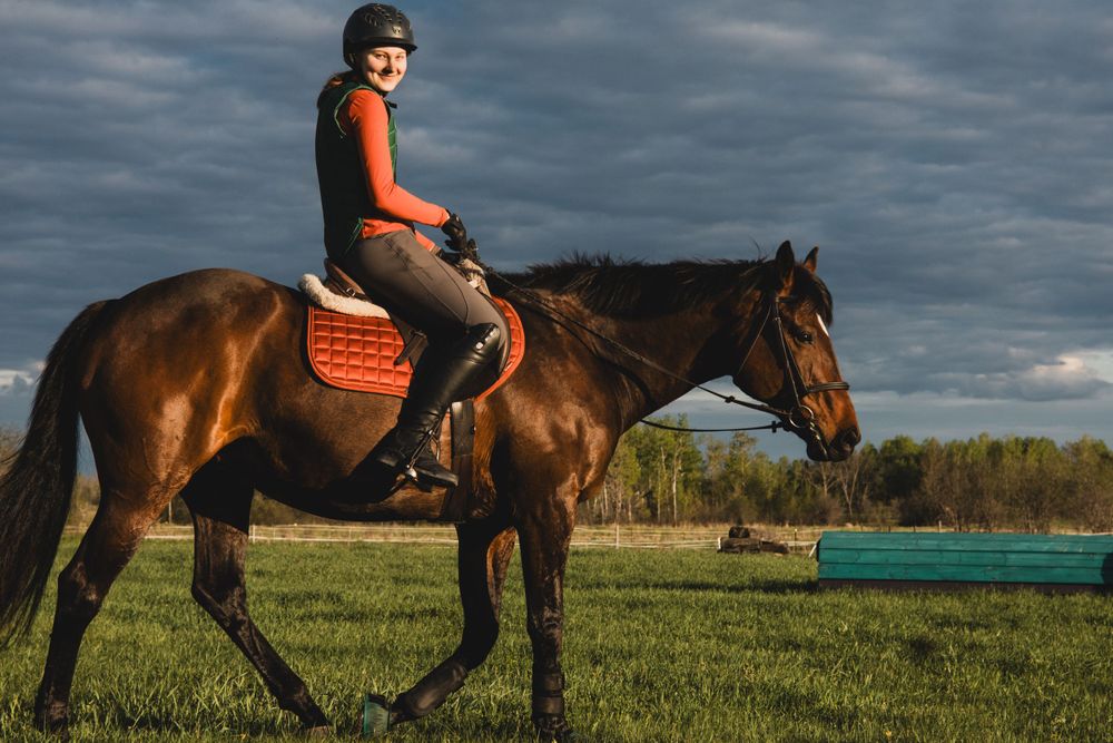 Horse and rider training in an open field during overcast weather.