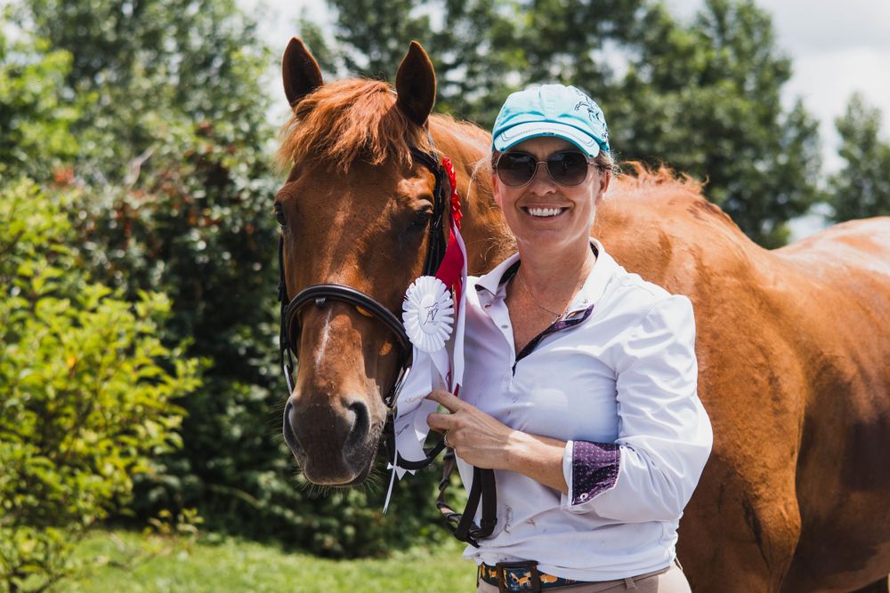 A chestnut horse with white markings receives affection in a sunny outdoor setting.