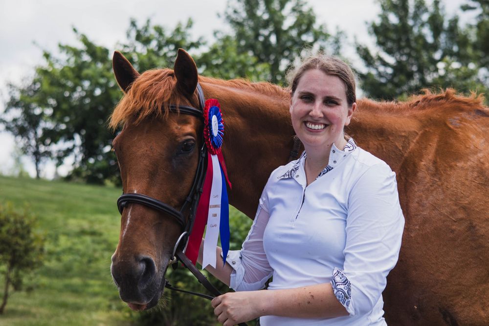 A chestnut horse displays a blue ribbon award in a sunny outdoor setting.