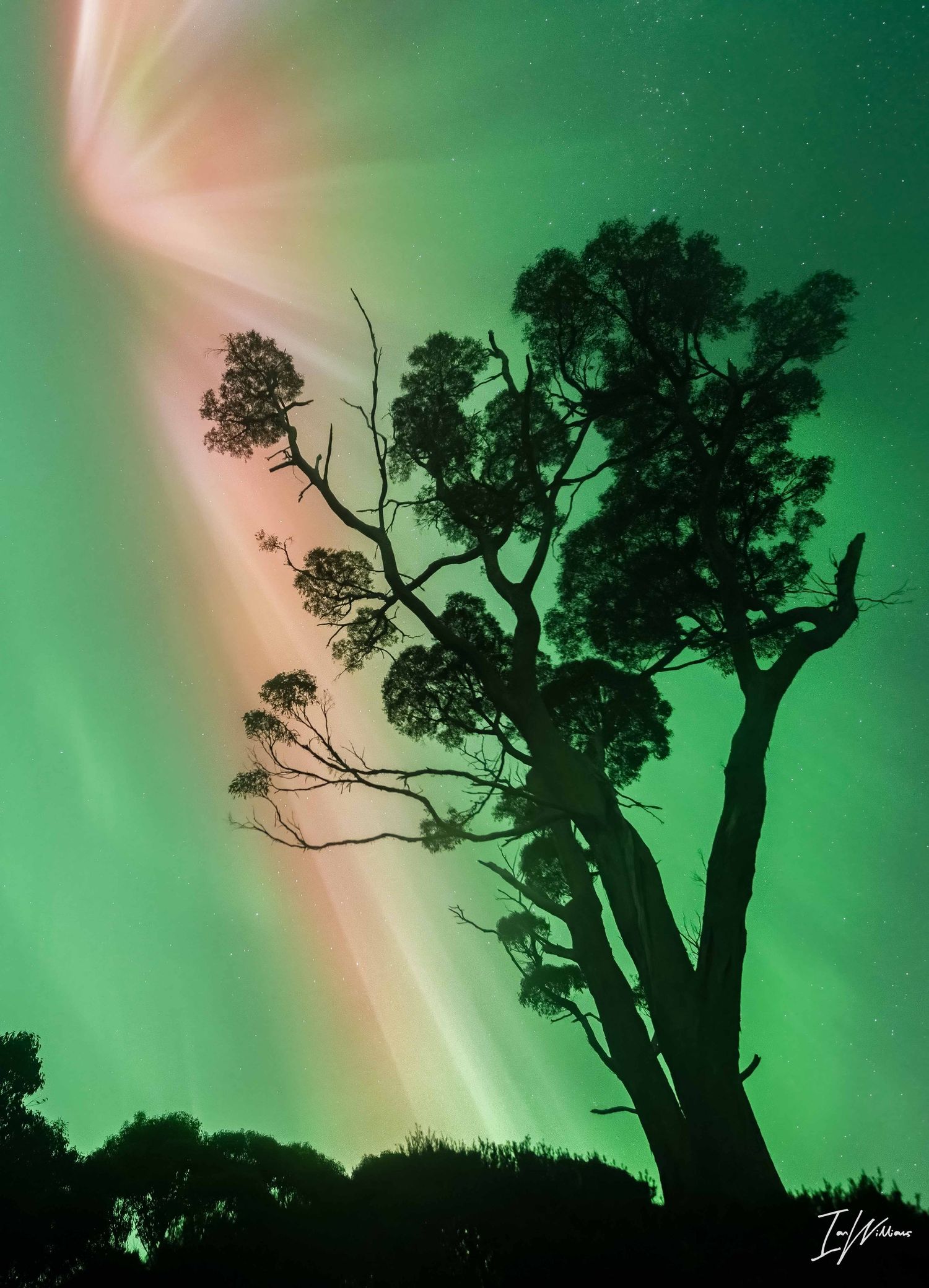 Aurora Australis, Tasmania, 11 May 2024