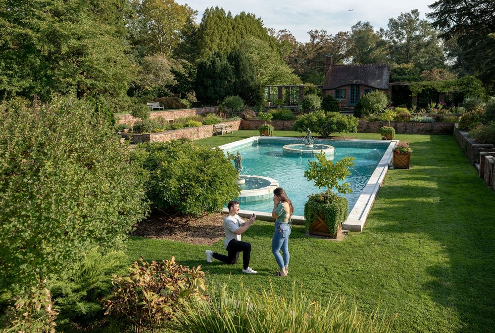Man proposing to woman on lush green lawn beside elegant pool surrounded by manicured gardens and mature trees.