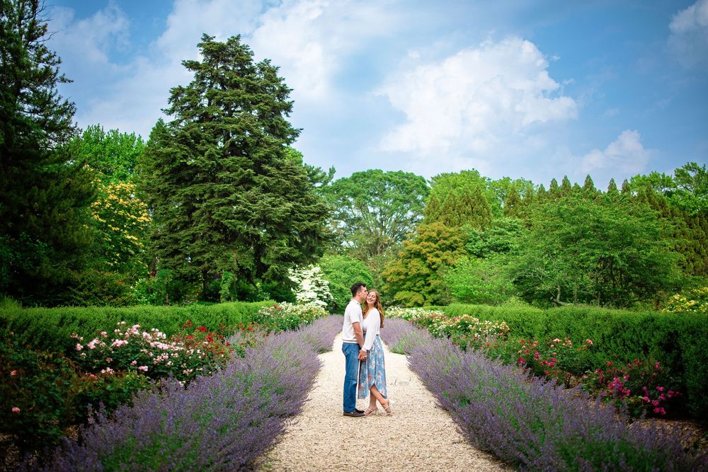 A couple walks along a garden path lined with blooming lavender and roses on a sunny summer day.